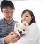Pet insurance with no waiting period