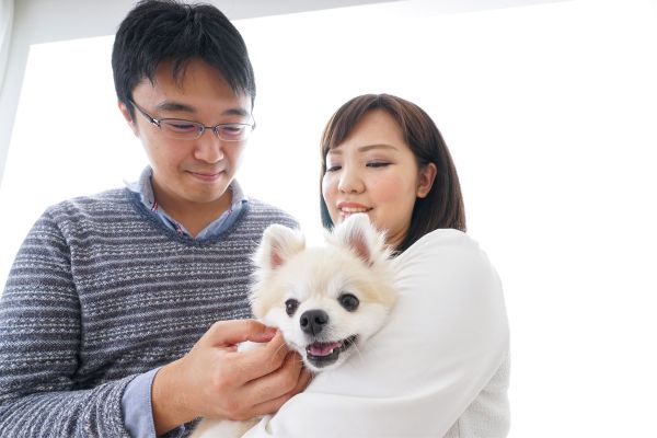 Pet insurance with no waiting period