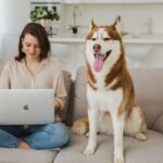 how does pet insurance work