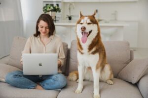 How Does Pet Insurance Work? A Simple Guide for Pet Owners