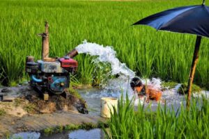 Water Backup Coverage: Does Homeowners Insurance Cover Sump Pump Failure?